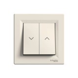Выключатель двухклавишный с пультом Schneider-Electric Asfora 